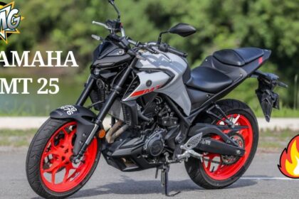 Yamaha MT 25