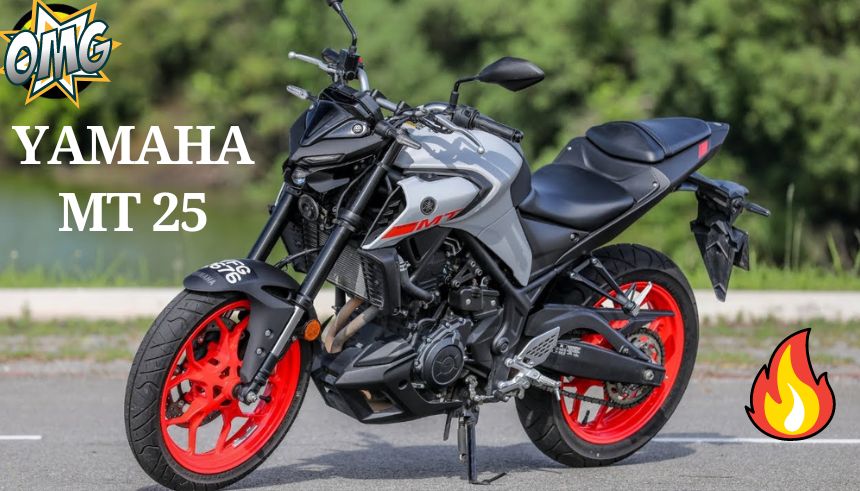 Yamaha MT 25