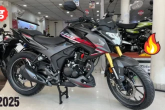 Honda Hornet 2.0 Bike