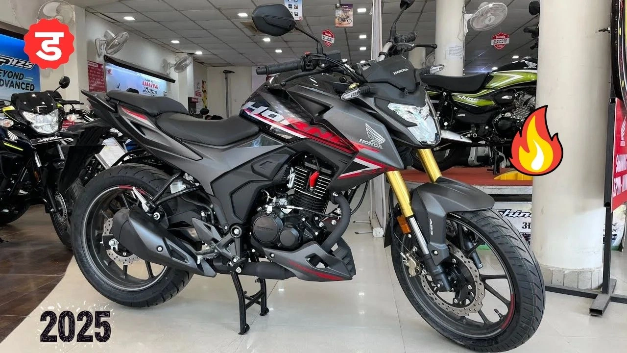 Honda Hornet 2.0 Bike