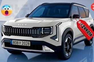 Kia Seltos Car