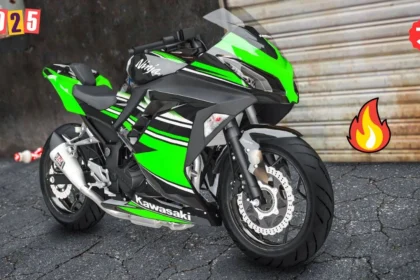 Kawasaki Ninja 300 Bike