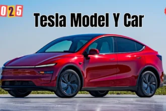 Tesla Model Y Car